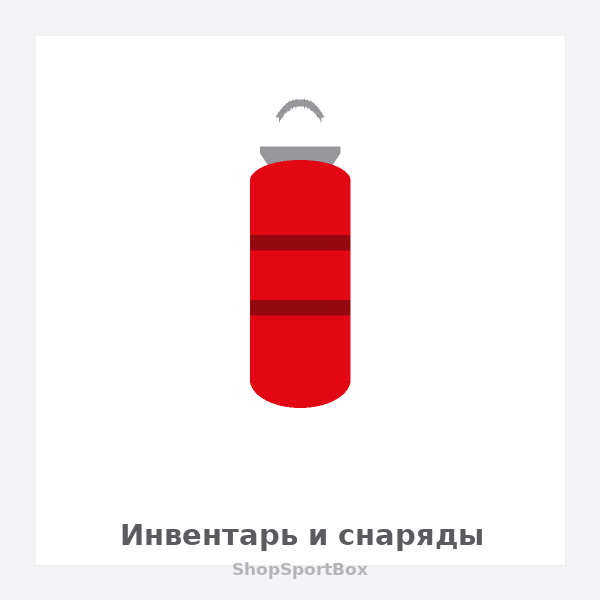 картинка Груша боксёрская Rival Master от магазина Одежда+